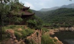 牛山森林公园爆料视频,探秘自然奇观，感受生态魅力